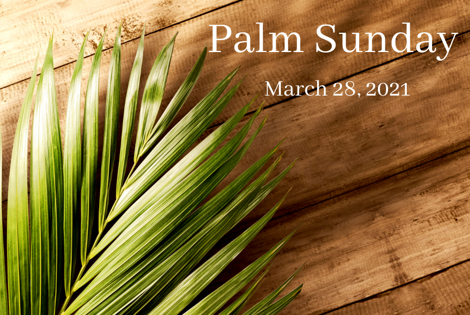 palm-sunday-our-savior-s-lutheran-church-denver-co-elca